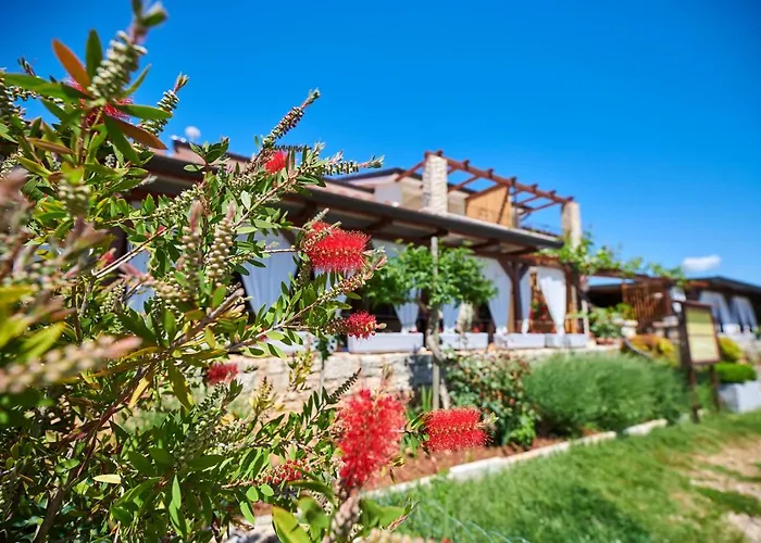 Guest house Sobe Sole